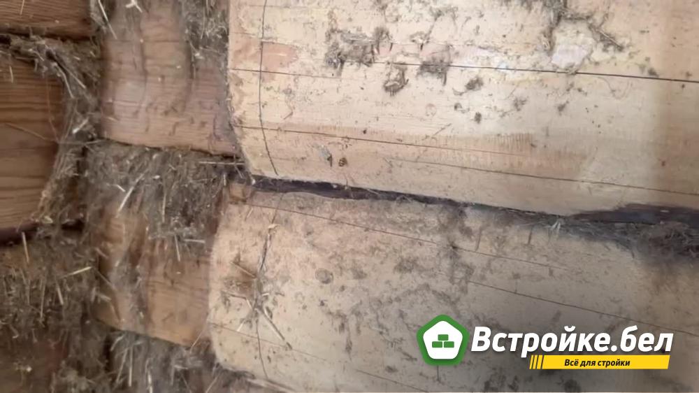 frame_120.jpg?lang=ru